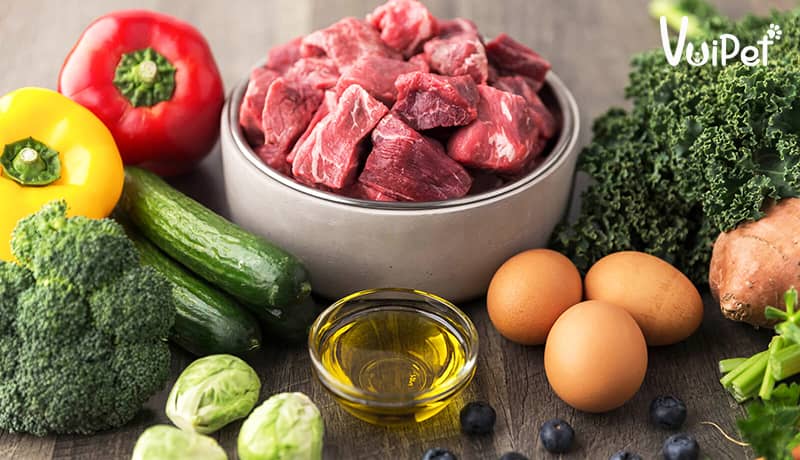 Chó ăn bao nhiêu là đủ? Lượng thức ăn cho chó trong 1 ngày?