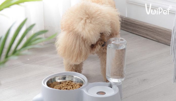 3 phút để hiểu Tất tần tật về Thức ăn khô cho chó – Hạt cho chó