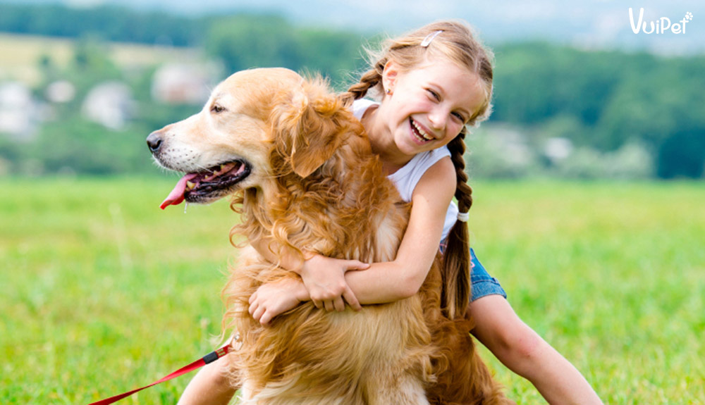 Bí quyết cách chọn và nuôi chó cảnh phù hợp với nhà có trẻ con