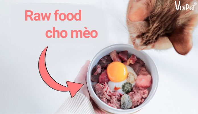 rawfood-cho-meo