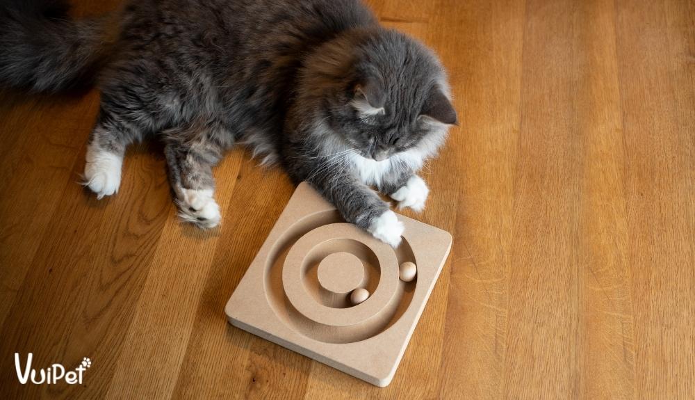 Mua đồ chơi cho mèo để hạn chế thời gian liếm lông