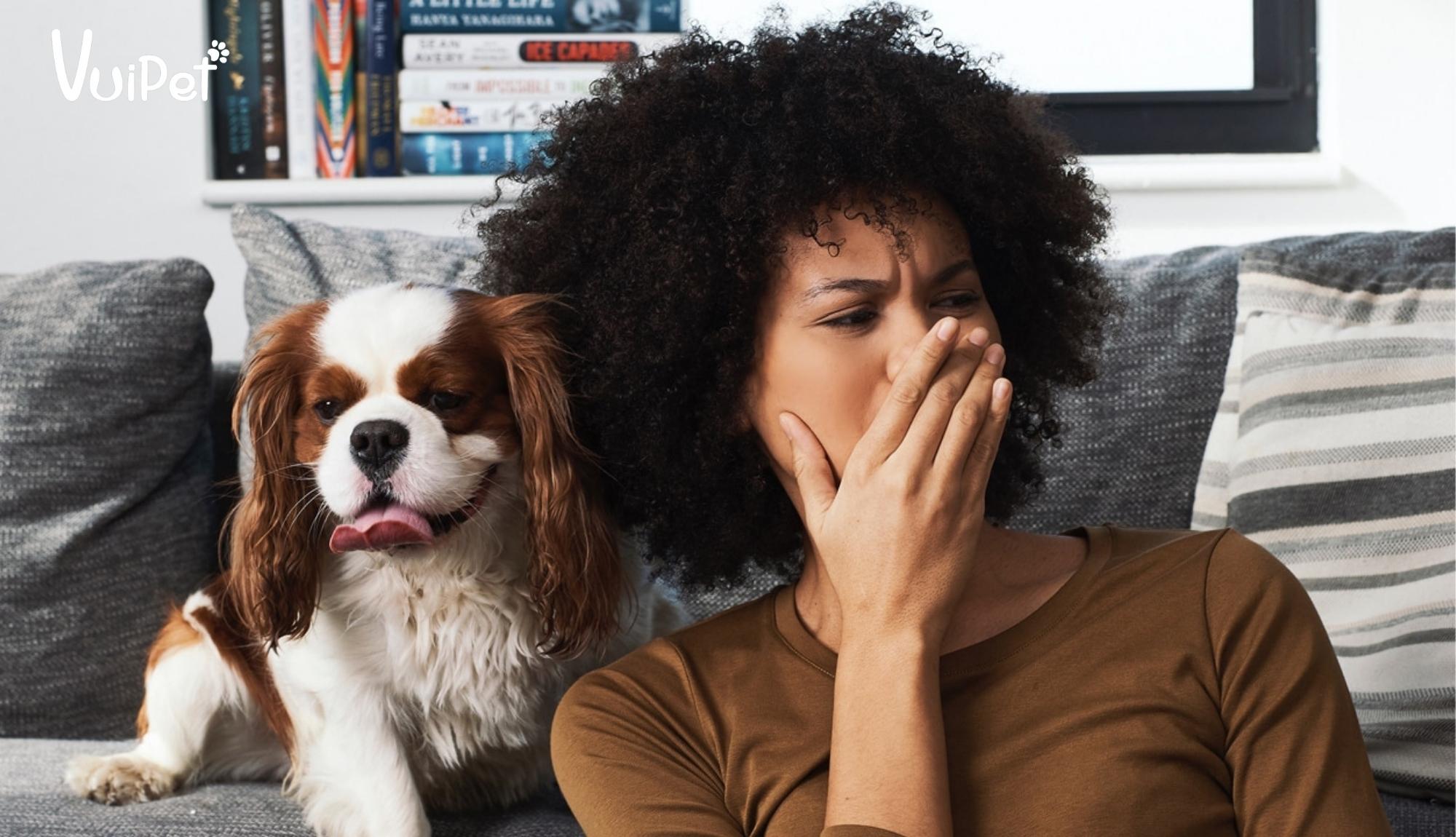 Nguyên nhân chính gây hôi miệng cho chó là gì?
