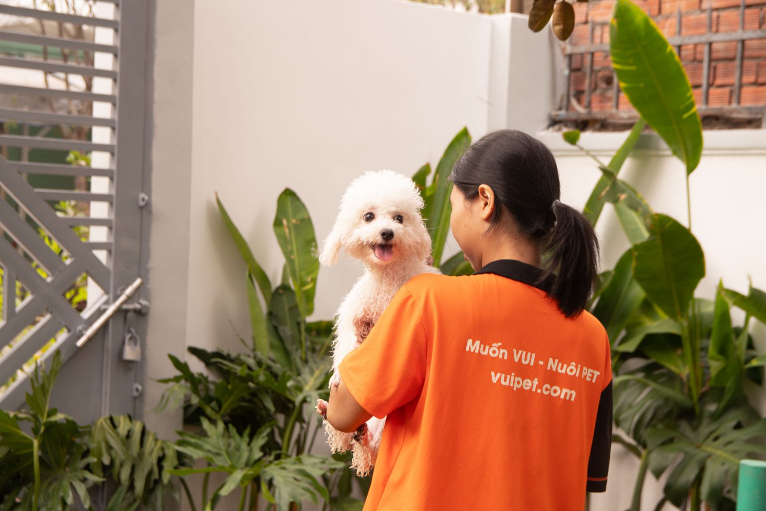 Chi tiết cách nuôi MÈO MƯỚP - MÈO TA khoẻ mạnh, đáng yêu