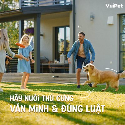 quy-dinh-nuoi-cho-meo-dung-luat-vuipet-14