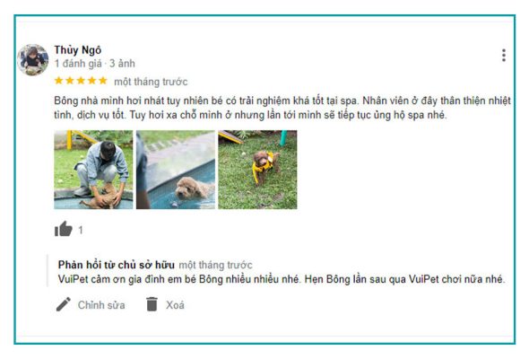 feedback-ho-boi-cho-cho-tphcm-1