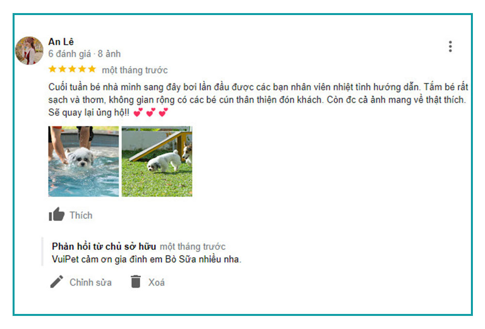 feedback-ho-boi-cho-cho-tphcm-2