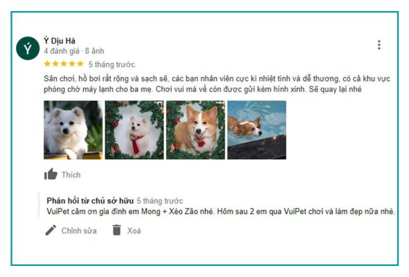 feedback-ho-boi-cho-cho-tphcm-4