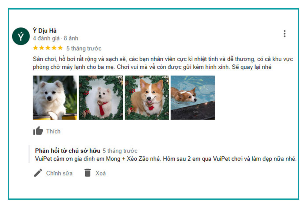 feedback-ho-boi-cho-cho-tphcm-4