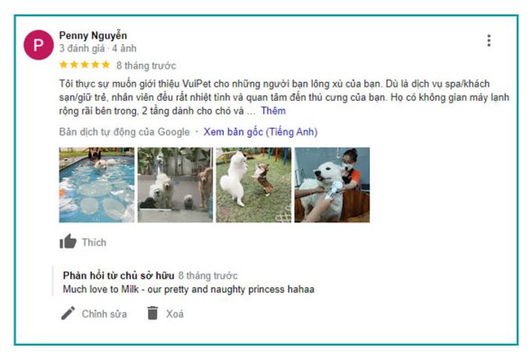 feedback-ho-boi-cho-cho-tphcm-7