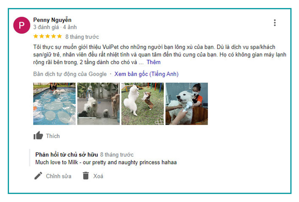 feedback-ho-boi-cho-cho-tphcm-7