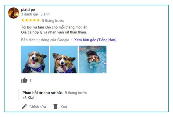 feedback-ho-boi-cho-cho-tphcm-8