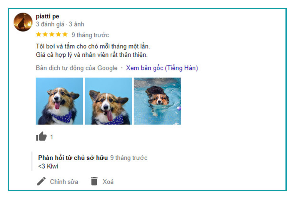 feedback-ho-boi-cho-cho-tphcm-8