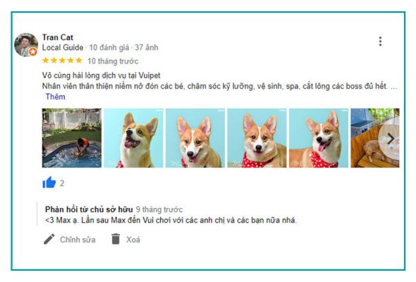 feedback-ho-boi-cho-cho-tphcm-9